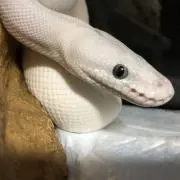 YKE.88