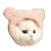 ぱの画像