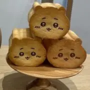sakiの画像