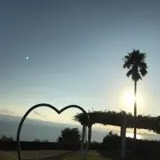 alohaの画像