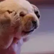 つよの画像