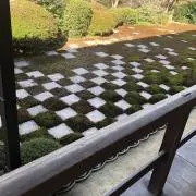 yukiの画像