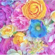 花の画像