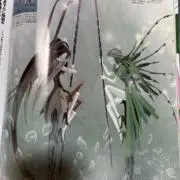 まりいの画像