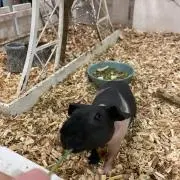 もるもっと