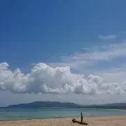 サニー®️の画像
