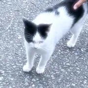 んの画像