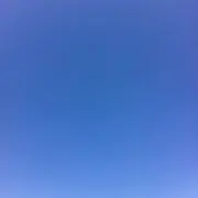 ムンチョの画像