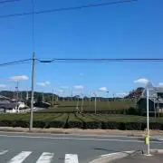 みぃの画像