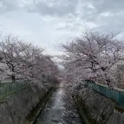 HGの画像