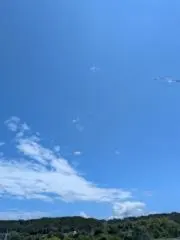 fuguの画像