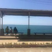 あかりの画像