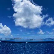 ゆっきーの画像