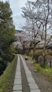 ryoの画像