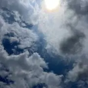 Richieの画像