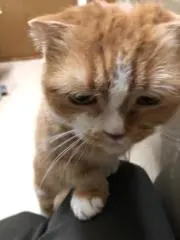 まるを