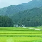 MAH⸜(  ❛ ֊ ❛ „)⸝✐☡の画像