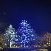sの画像