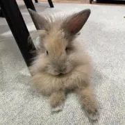 みゅーら⭐️の画像