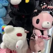 Kaoの画像