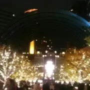 えりんぎの画像