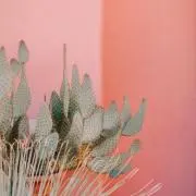 gygyの画像