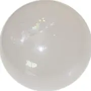 ミミの画像