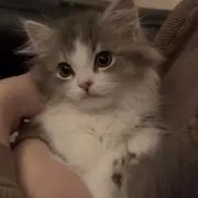 Rちゃんの画像
