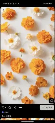 kjggsの画像