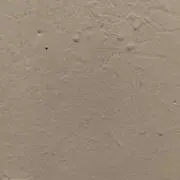 ゆう　プロフ要確認