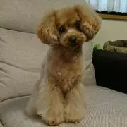 松ちゃん