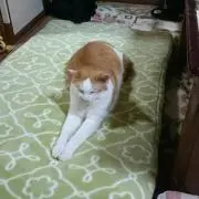 なおなおなお