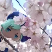 ヘルヴァボス クイーンビー サイン入りポスター - メルカリ