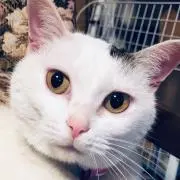 リュック