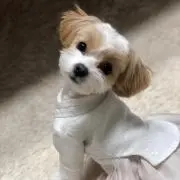 ユンの画像