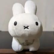 みみうさ