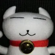 ネコスケの画像