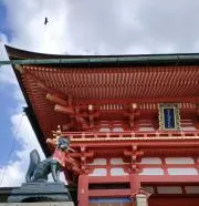 ヨン　即日発送の画像