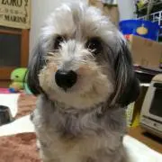 ちっひー
