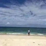 acoの画像