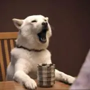 じろぉらもの画像