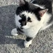 むぎ