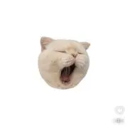 あの画像