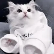 ゆきな。の画像