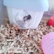 とあの画像