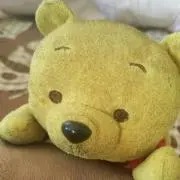 プー子【プロフ必読&商品説明欄必読！】の画像