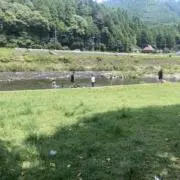 tsubの画像