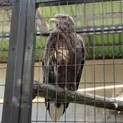 にこ