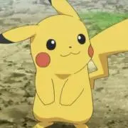 ピカの画像