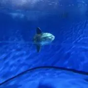 みなはる。の画像